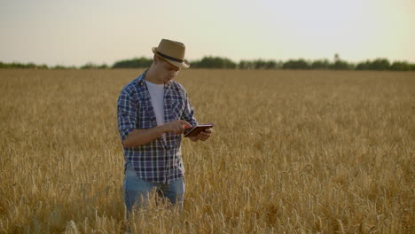 A-man-in-a-hat-and-jeans-with-a-tablet-in-cancer-touches-and-looks-at-the-sprouts-of-rye-and-barley-examines-the-seeds-and-presses-his-finger-on-the-touchscreen-at-sunset.