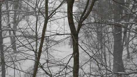 Verschneiter-Wintertag,-Aufnahme-Aus-Einem-Hohen-Winkel