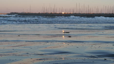 Abend-Am-Strand