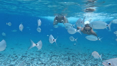 Mom-and-son-swimming-underwater