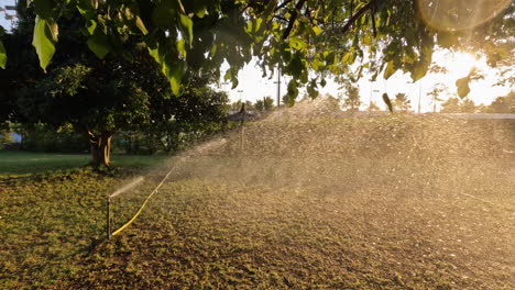 Watering-the-grass-in-the-city-park