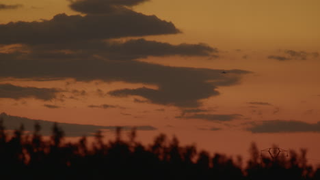 Silhouette-Eines-Flugzeugs-Am-Himmel-Bei-Sonnenuntergang