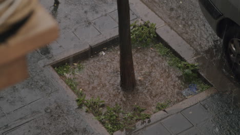 Torrential-rain-water-pouring-on-the-ground