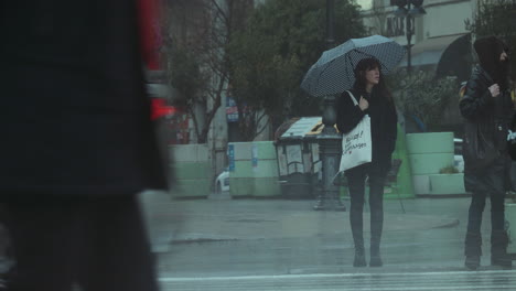 People-stand-at-the-crosswalk