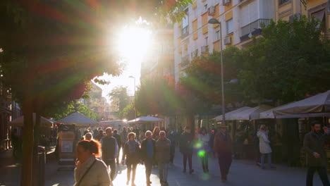 Sunny-Stroll-in-Seville