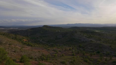 Hilly-terrain-with-trees