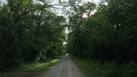 Sunlight-Beaming-Behind-The-Trees-In-The-Forest-With-Dirt-Road