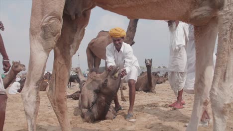 Hombres-Indios-En-El-Desierto-De-Thar,-Rajasthan-Y-Camellos-Que-Asisten-A-La-Famosa-Feria.