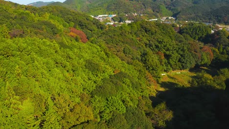 Aerial-tilt-over-Autumn-Landscape-in-Mie-Prefecture-of-Japan