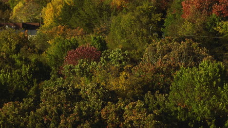 Lush-Autumn-Forest-In-Mount-Sequoyah,-Fayetteville,-AR,-USA---Aerial-Drone-Shot