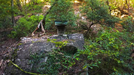 Santuario-Shugendo-Para-El-Culto-A-La-Montaña-En-El-Bosque-Japonés.