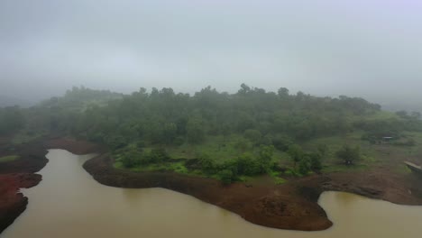 La-Cámara-Del-Dron-Avanza,-Donde-Hay-Un-Denso-Bosque