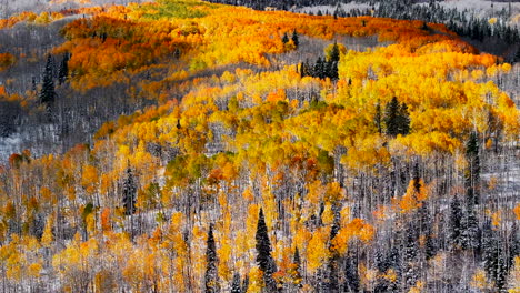 Vista-Panorámica-Paso-Kebler-Colorado-álamo-Temblón-Vistoso-Amarillo-Rojo-Naranja-Bosque-Principios-Otoño-Invierno-Primera-Nieve-Montañas-Rocosas-Breckenridge-Piedra-Angular-Vail-álamo-Temblón-Teluro-Silverton-Ouray-Movimiento-A-La-Derecha