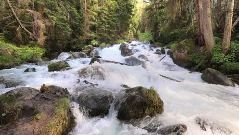 Mountain-River-in-the-wood.-Beautiful-wildlife-landscape.