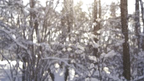 Paisaje-Invernal-Durante-Las-Nevadas.-Fondo-Abstracto-De-Navidad-De-Invierno-En-Cámara-Súper-Lenta.