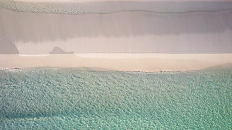 aerial-view-of-a-seagull-flying-off-an-empty-white-sand-beach-with-emerald-waters