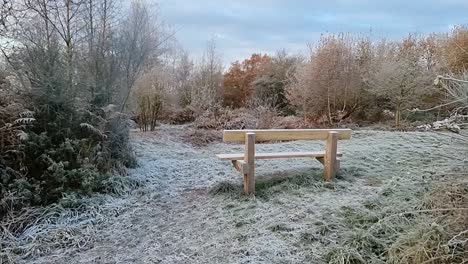 Empty-wooden-park-bench-on-frosty-ice-covered-grassy-hillside-overlooking-autumn-woodland-foliage