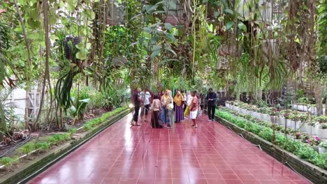 The-atmosphere-inside-the-Celosia-Flower-Garden-in-Bandungan,-Semarang,-Central-Java