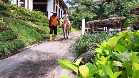 Las-Niñas-Montan-A-Caballo-Guiadas-Por-El-Personal-En-Un-Parque-Infantil-En-El-Campo,-Semarang,-Java-Central