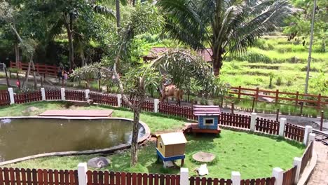 Children-ride-horses-guided-by-staff-at-a-playground-in-the-countryside,-Semarang,-Central-Java