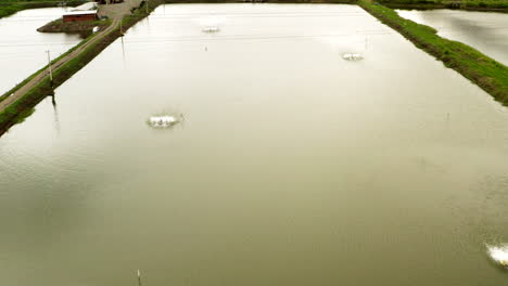 Panoramic-drone-shot-of-shrimp-farming-pools