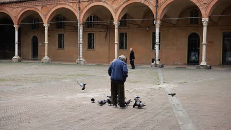 Old-man-feeding-pigeons-in-Biblioteca-Comunale-dell-Archiginnasio-library-of-Bologna,-Italy-in-slow-motion