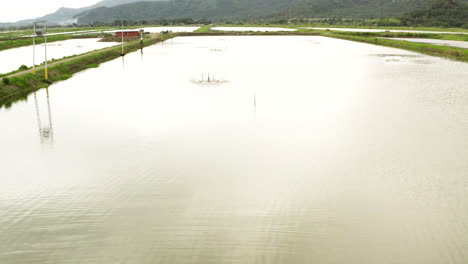 Panoramic-drone-shot-of-shrimp-farm