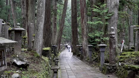 Path-Along-Okunoin-Cemetery-On-Rainy-Day-Lined-With-Cedar-Trees