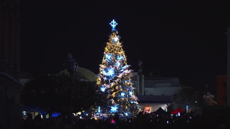 Lighting-the-Christmas-tree-in-a-square-full-of-people