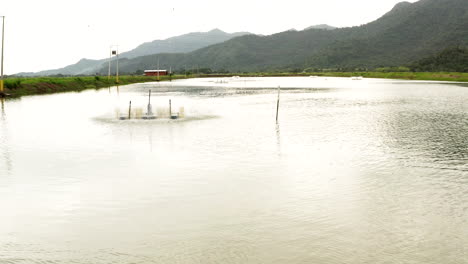 Panoramic-drone-shot-of-shrimp-farming-pools