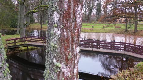 Old-narrow-bridge-over-water-pond-in-park,-reveal-view-behind-trees