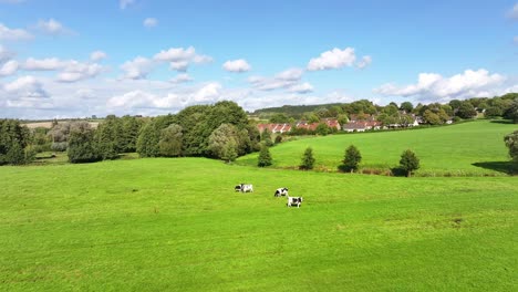 Grazing-cattle-on-pastures,-farmland-buildings,-rural-scenery,-blue-sky