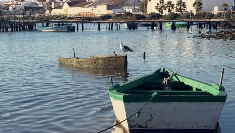 Coastal-scene-with-a-lone-seagull-standing-on-old-fishing-boat