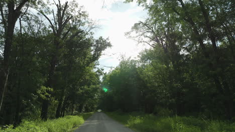 Straßenweg-Zwischen-Grünen-Bäumen---Waldnatur-In-Missouri,-Vereinigte-Staaten---Drohne-Vorwärts