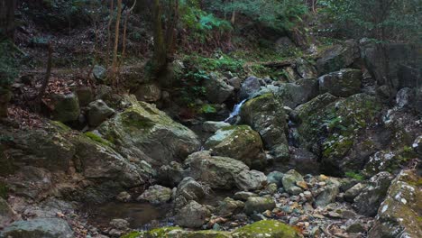 Beautiful-Rocky-Mountain-Streak-in-Mossy-Hiking-Trail,-Japan