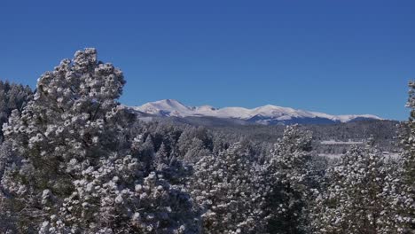 Weihnachten,-Erster-Schnee,-Immergrüner-Frontbereich,-Denver-Mount,-Blauer-Himmel,-Evans-Luftaufnahme,-Filmische-Drohne,-Knackiger,-Eiskalter-Morgen,-Schöner-Blauer-Himmel,-Gefrostete-Kiefern,-Kreisen-Nach-Rechts