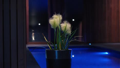 Slow-orbiting-shot-of-a-plant-in-a-pot-in-front-of-a-indoor-pool-in-a-French-villa