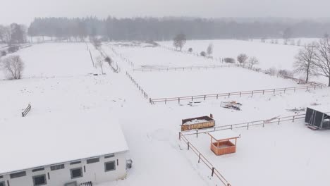 Luftaufnahme-Eines-Verschneiten-Bauernhofs-Mit-Pferden-In-Norddeutschland