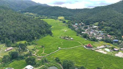 Vista-Aérea-Del-Paisaje-Tropical-Del-Puente-De-Bambú-Pai-En-Tailandia-Con-Aldea-Y-Campos-Exóticos