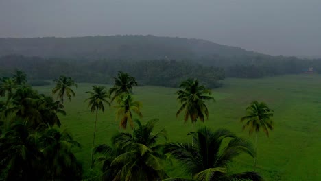 The-drone-camera-is-moving-above-the-bushes-with-lots-of-hills-visible-in-the-background