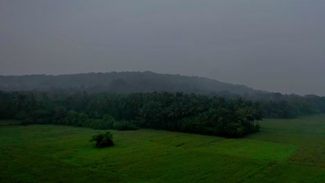 The-drone-camera-is-moving-forward-where-the-fields-are-surrounded-by-trees