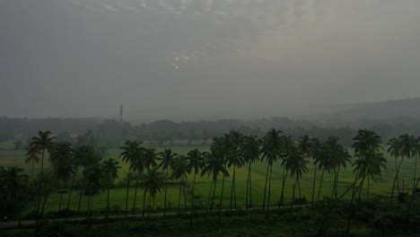 Aerial-view-The-phone-camera-is-moving-to-the-side-and-it's-sunset-time