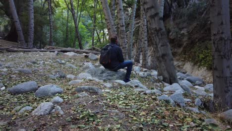 Contemplative-Male-alone-Wearing-Backpack-Sitting-On-Rocks-In-Woods-or-Forest