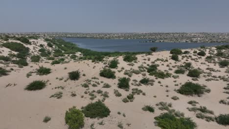 Botar-Lake-Oasis-Amidst-Sanghar-Sands,-Pakistan