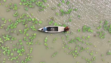 Lone-boat-amidst-lily-pads-on-Botar-Lake,-Sanghar,-Pakistan