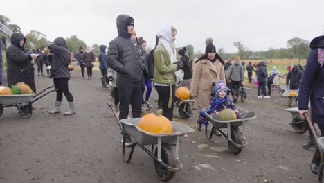 Visitors-to-Pumpkin-farm-collecting-fruit-purchases-in-wheel-barrows