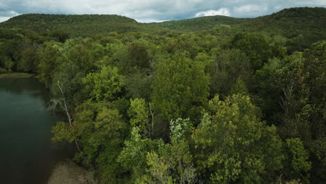 Grüne-Büsche-Wachsen-Am-Flussufer-In-Der-Nähe-Der-Berge-Von-Durham,-Arkansas,-Vereinigte-Staaten