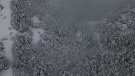 Snowy,-Foggy-Winter-Aerial-Footage