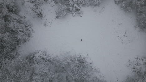 Foggy-Winter-Aerial-Footage-of-man-walking-in-snow-in-forest-holiday