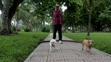 Typical-Vietnamese-mature-male-dog-owner-walking-his-pets,-local-park